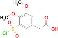 2-[3-(chlorosulfonyl)-4,5-dimethoxyphenyl]acetic acid