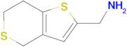 1-{4h,6h,7h-thieno[3,2-c]thiopyran-2-yl}methanamine