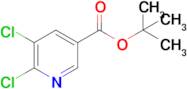 Tert-butyl 5,6-dichloropyridine-3-carboxylate