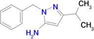 1-Benzyl-3-(propan-2-yl)-1h-pyrazol-5-amine