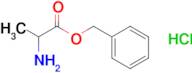 Benzyl 2-aminopropanoate hydrochloride