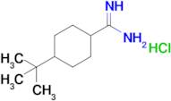 4-Tert-butylcyclohexane-1-carboximidamide hydrochloride