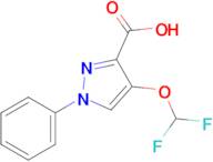 4-(Difluoromethoxy)-1-phenyl-1h-pyrazole-3-carboxylic acid