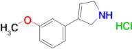 3-(3-Methoxyphenyl)-2,5-dihydro-1h-pyrrole hydrochloride