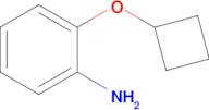 2-Cyclobutoxyaniline