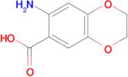 7-Amino-2,3-dihydro-1,4-benzodioxine-6-carboxylic acid
