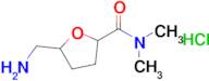 5-(Aminomethyl)-N,N-dimethyloxolane-2-carboxamide hydrochloride