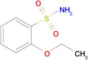 2-Ethoxybenzene-1-sulfonamide