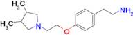 2-{4-[2-(3,4-dimethylpyrrolidin-1-yl)ethoxy]phenyl}ethan-1-amine