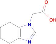 2-(4,5,6,7-Tetrahydro-1h-1,3-benzodiazol-1-yl)acetic acid