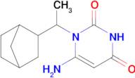 6-Amino-1-(1-{bicyclo[2.2.1]heptan-2-yl}ethyl)-1,2,3,4-tetrahydropyrimidine-2,4-dione