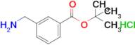 Tert-butyl 3-(aminomethyl)benzoate hydrochloride