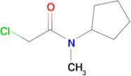 2-Chloro-N-cyclopentyl-N-methylacetamide