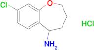 8-Chloro-2,3,4,5-tetrahydro-1-benzoxepin-5-amine hydrochloride