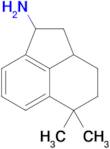 5,5-Dimethyl-1,2,2a,3,4,5-hexahydroacenaphthylen-1-amine