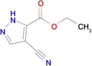Ethyl 4-cyano-1h-pyrazole-5-carboxylate