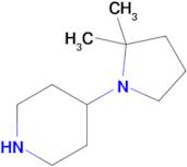 4-(2,2-Dimethylpyrrolidin-1-yl)piperidine