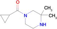 1-Cyclopropanecarbonyl-3,3-dimethylpiperazine