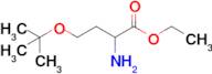 Ethyl 2-amino-4-(tert-butoxy)butanoate