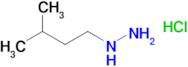 (3-Methylbutyl)hydrazine hydrochloride