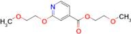 2-Methoxyethyl 2-(2-methoxyethoxy)pyridine-4-carboxylate