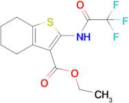 Ethyl 2-(trifluoroacetamido)-4,5,6,7-tetrahydro-1-benzothiophene-3-carboxylate