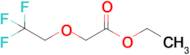 Ethyl 2-(2,2,2-trifluoroethoxy)acetate