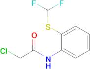 2-Chloro-N-{2-[(difluoromethyl)sulfanyl]phenyl}acetamide