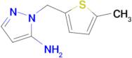 1-[(5-methylthiophen-2-yl)methyl]-1h-pyrazol-5-amine