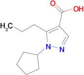 1-Cyclopentyl-5-propyl-1h-pyrazole-4-carboxylic acid