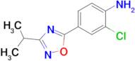 2-Chloro-4-[3-(propan-2-yl)-1,2,4-oxadiazol-5-yl]aniline