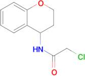 2-Chloro-N-(3,4-dihydro-2h-1-benzopyran-4-yl)acetamide