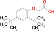 2-(2,4-Di-tert-butylphenoxy)acetic acid