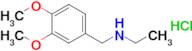 [(3,4-dimethoxyphenyl)methyl](ethyl)amine hydrochloride