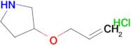 3-(Prop-2-en-1-yloxy)pyrrolidine hydrochloride