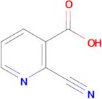 2-Cyanopyridine-3-carboxylic acid