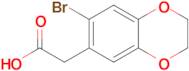 2-(7-Bromo-2,3-dihydro-1,4-benzodioxin-6-yl)acetic acid