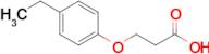 3-(4-Ethylphenoxy)propanoic acid