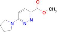 Methyl 6-(pyrrolidin-1-yl)pyridazine-3-carboxylate