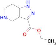 Ethyl 1h,4h,5h,6h,7h-pyrazolo[4,3-c]pyridine-3-carboxylate