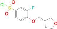 3-Fluoro-4-[(tetrahydro-3-furanyl)methoxy]benzenesulfonyl chloride