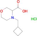 4-(Cyclobutylmethyl)morpholine-3-carboxylic acid hydrochloride