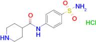 n-(4-Sulfamoylphenyl)piperidine-4-carboxamide hydrochloride