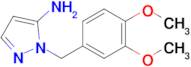 1-[(3,4-dimethoxyphenyl)methyl]-1h-pyrazol-5-amine