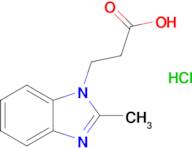 3-(2-Methyl-1h-1,3-benzodiazol-1-yl)propanoic acid hydrochloride