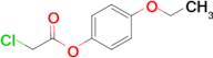 4-Ethoxyphenyl 2-chloroacetate