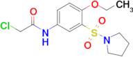 2-Chloro-n-[4-ethoxy-3-(pyrrolidine-1-sulfonyl)phenyl]acetamide