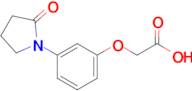 2-[3-(2-oxopyrrolidin-1-yl)phenoxy]acetic acid