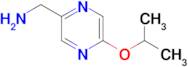 [5-(propan-2-yloxy)pyrazin-2-yl]methanamine