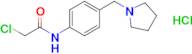 2-Chloro-n-[4-(pyrrolidin-1-ylmethyl)phenyl]acetamide hydrochloride